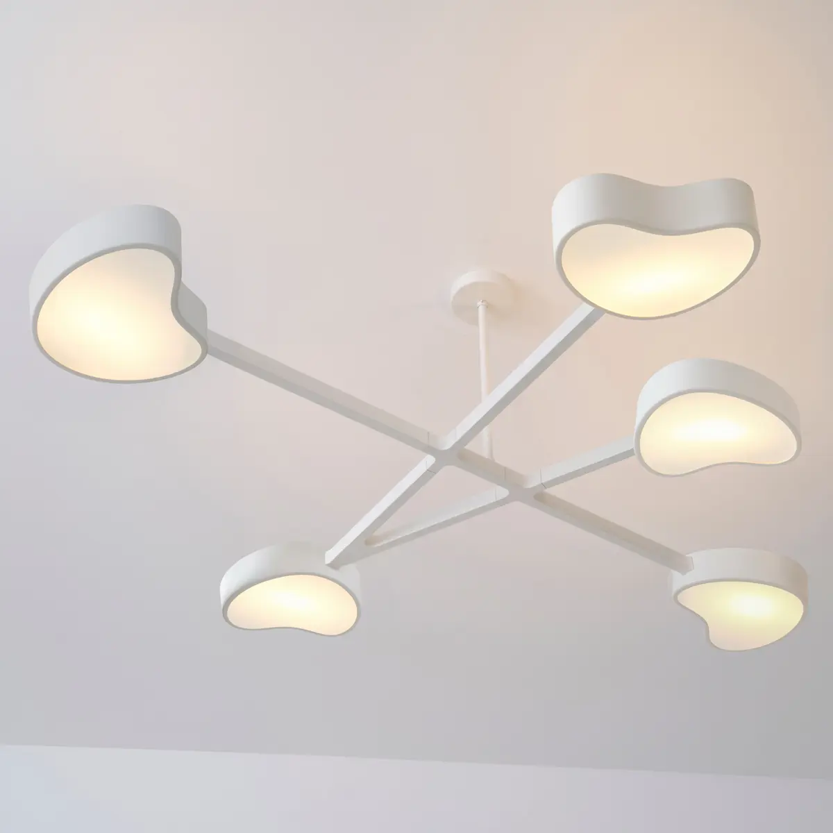 Cuore N.5 Ceiling Light by Gaspare Asaro