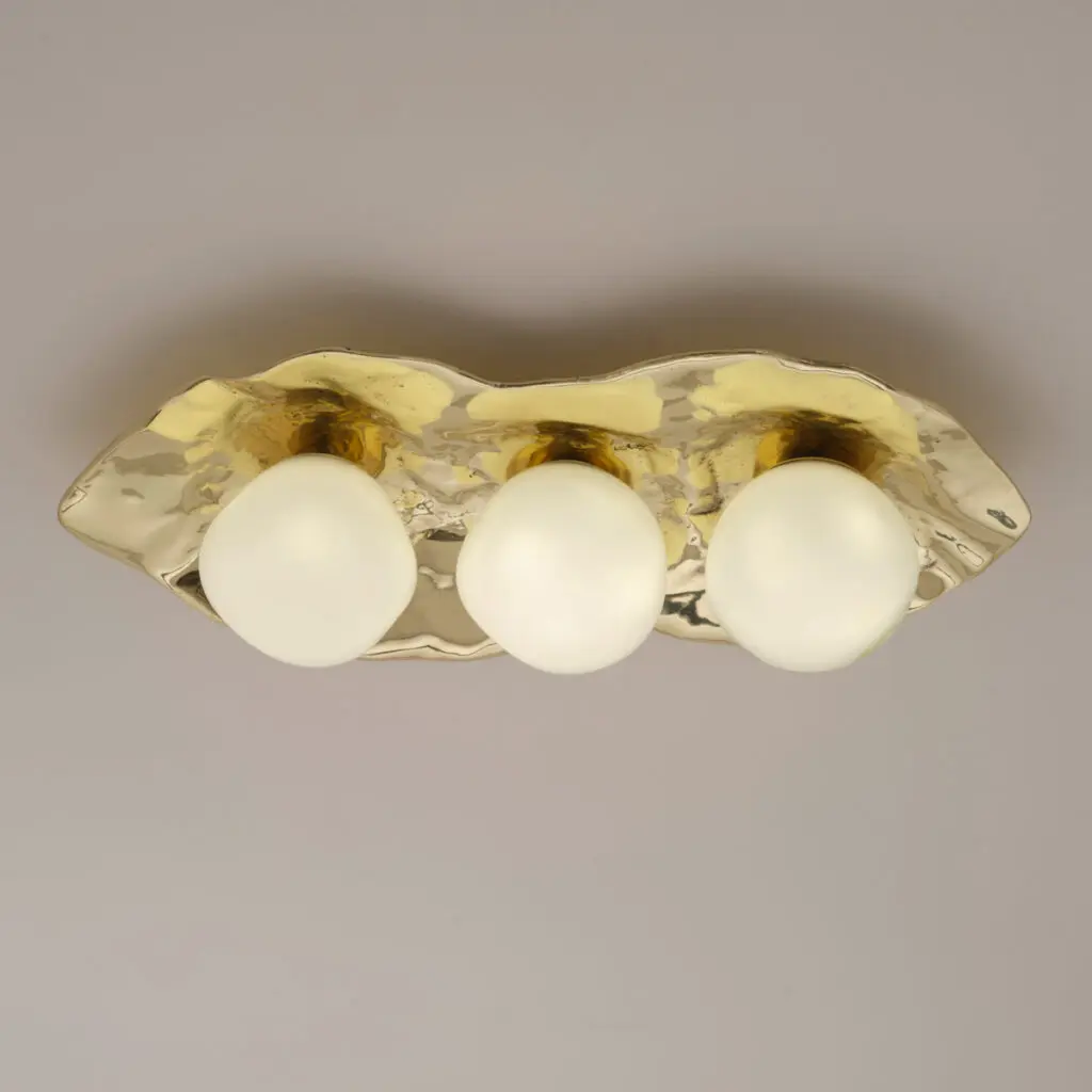 Shell ceiling light by Gaspare Asaro