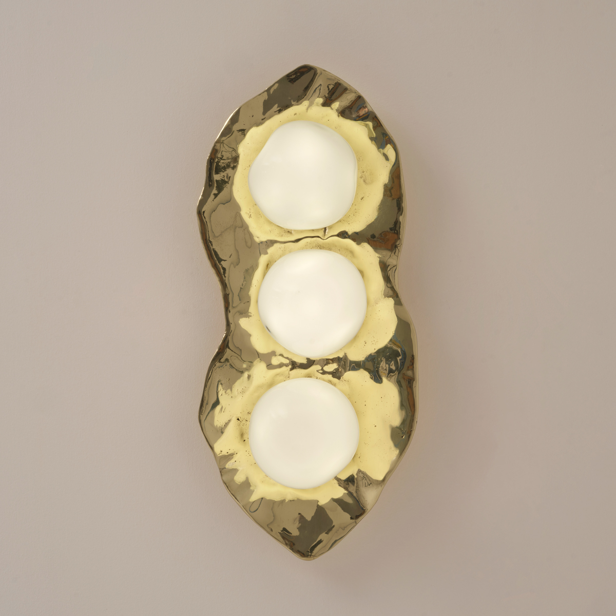 Shell Wall light by Gaspare Asaro